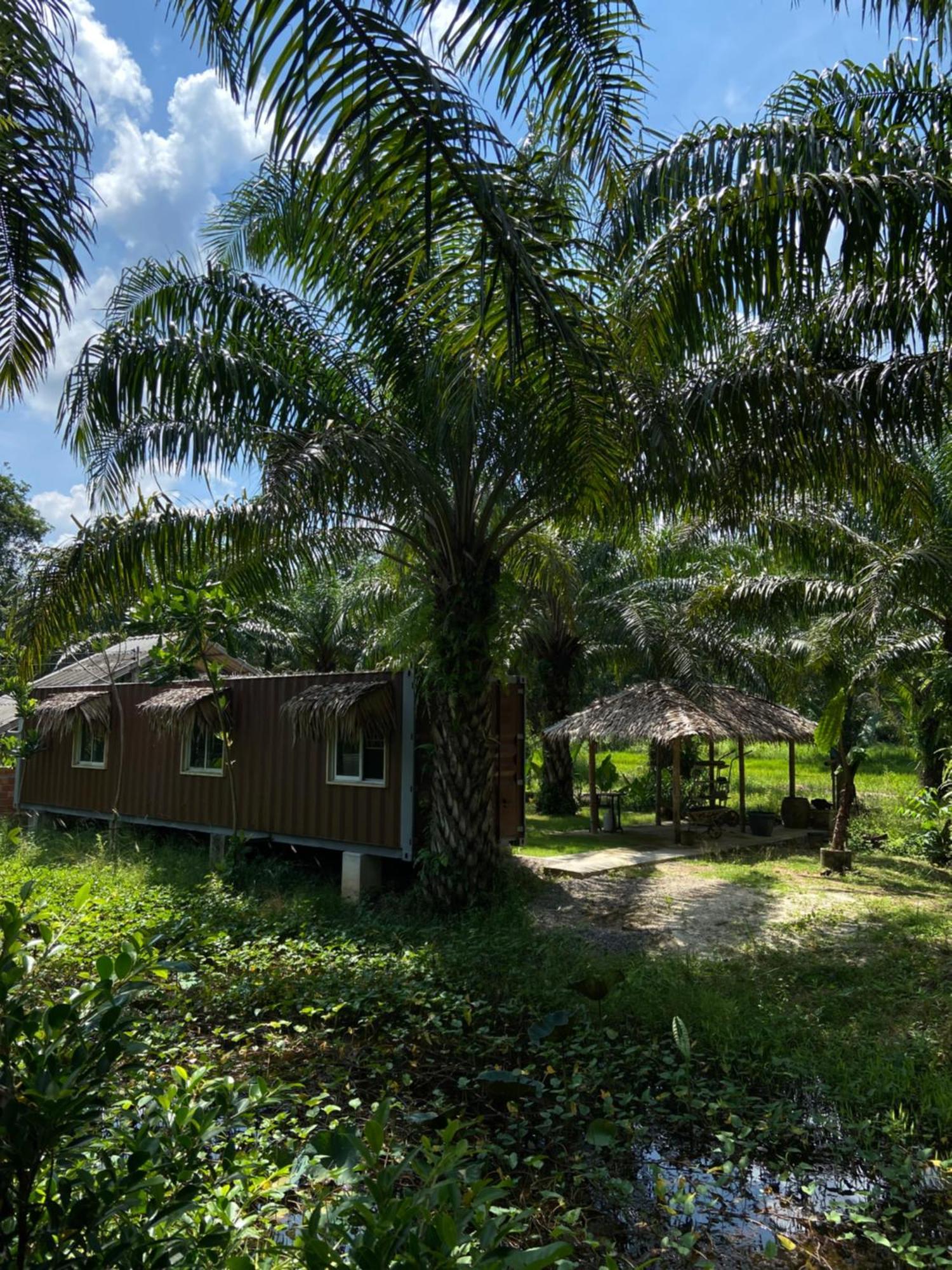 Forest Guesthouse Ban Don Muang  Экстерьер фото